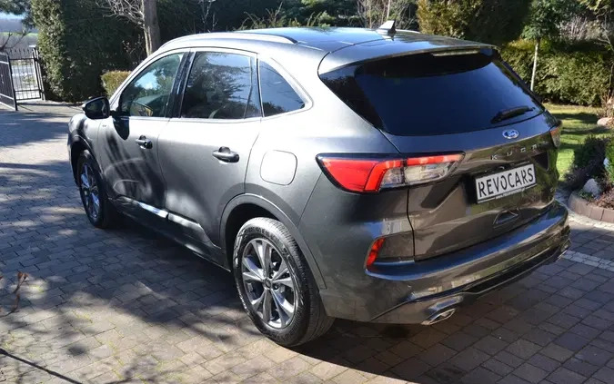 Ford Kuga cena 139900 przebieg: 8000, rok produkcji 2023 z Jędrzejów małe 596